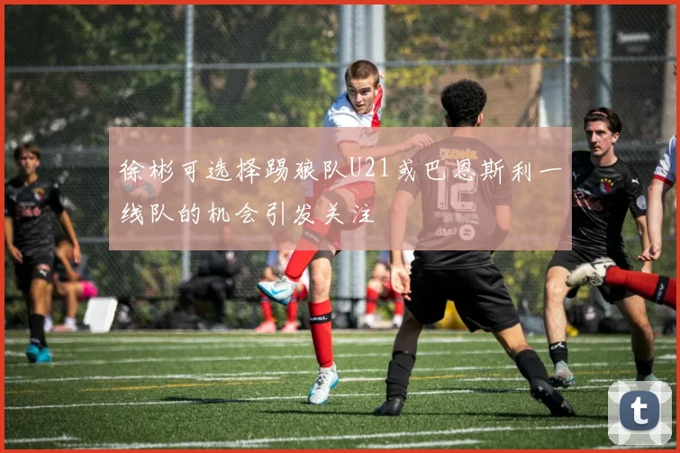 徐彬可选择踢狼队U21或巴恩斯利一线队的机会引发关注