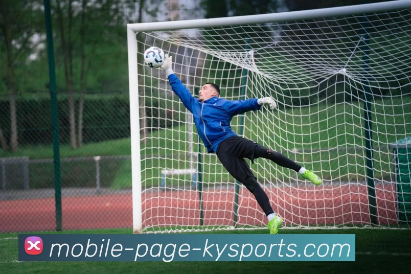 开云体育APP 封面图