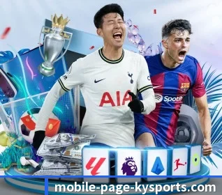 五大服务分区,信息按项目分类 - kaiyun